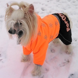 Zimní oblečky na psy – overaly For My Dogs2